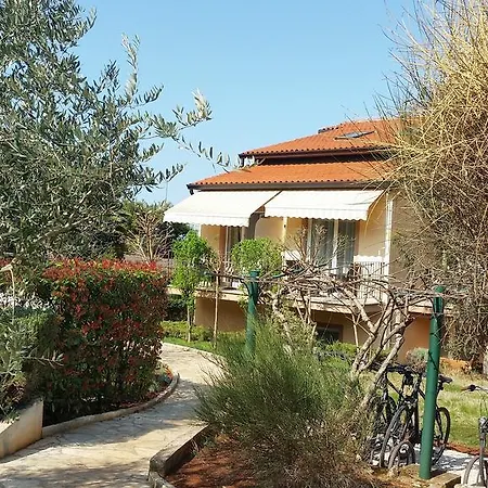 Zlatna Vala Pelegrin