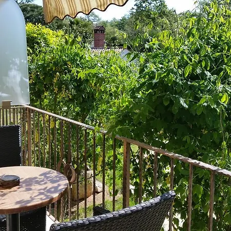 Hotel Zlatna Vala 3*